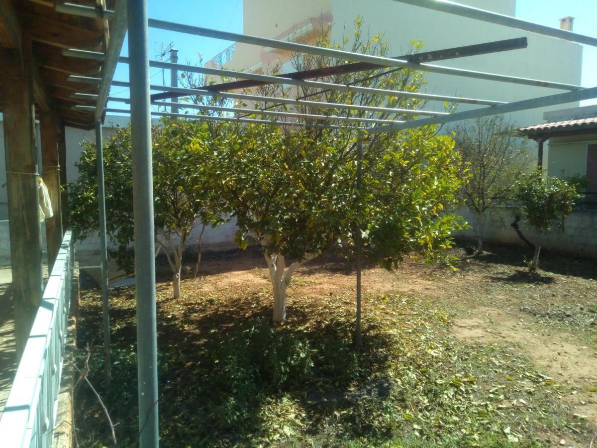 Vangelis House Near Athens Airport Artemida  Exterior photo