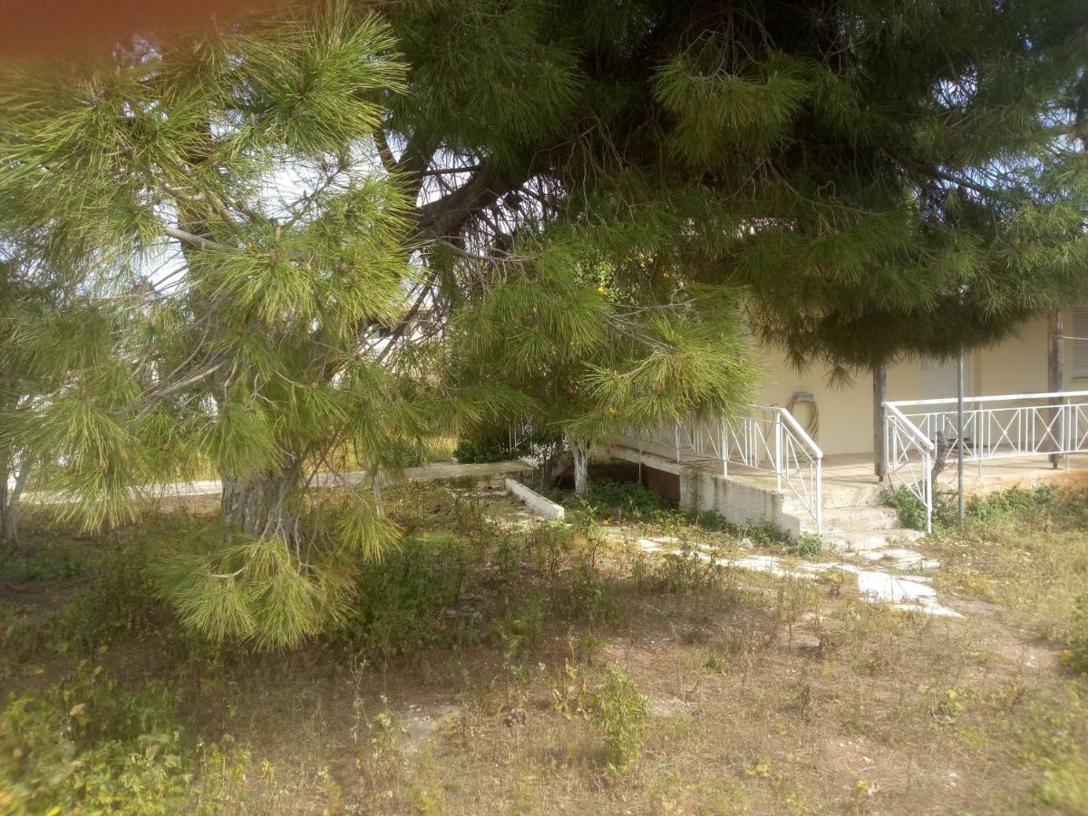 Vangelis House Near Athens Airport Artemida  Exterior photo